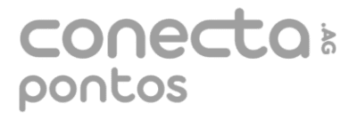 Conecta Pontos